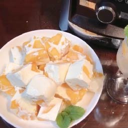 Vitamix調理機-陳月卿-甜點-冰沙-冰淇淋-優格-芒果