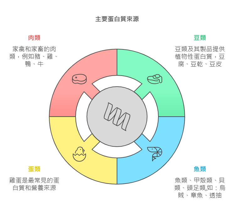 主要蛋白質來源_營養師這樣說