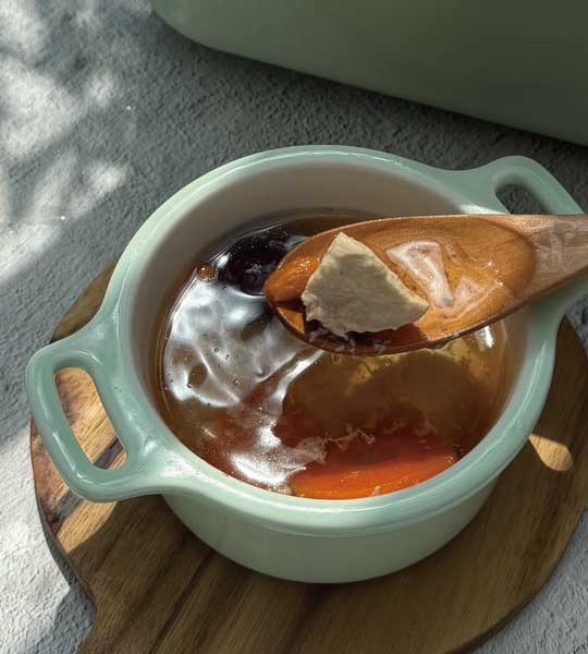 vitamix-調理機-北鼎-蒸燉鍋-冬季-秋冬-換季-湯品-燉湯-雞湯-提升免疫力-護眼